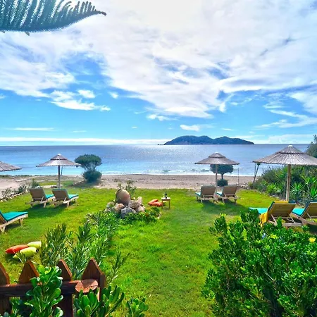 Beachfront Elena With Mini Pool And